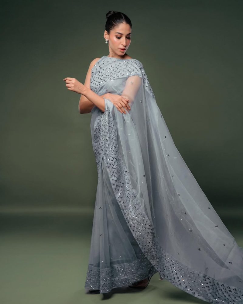 ADA Saree - Image 6